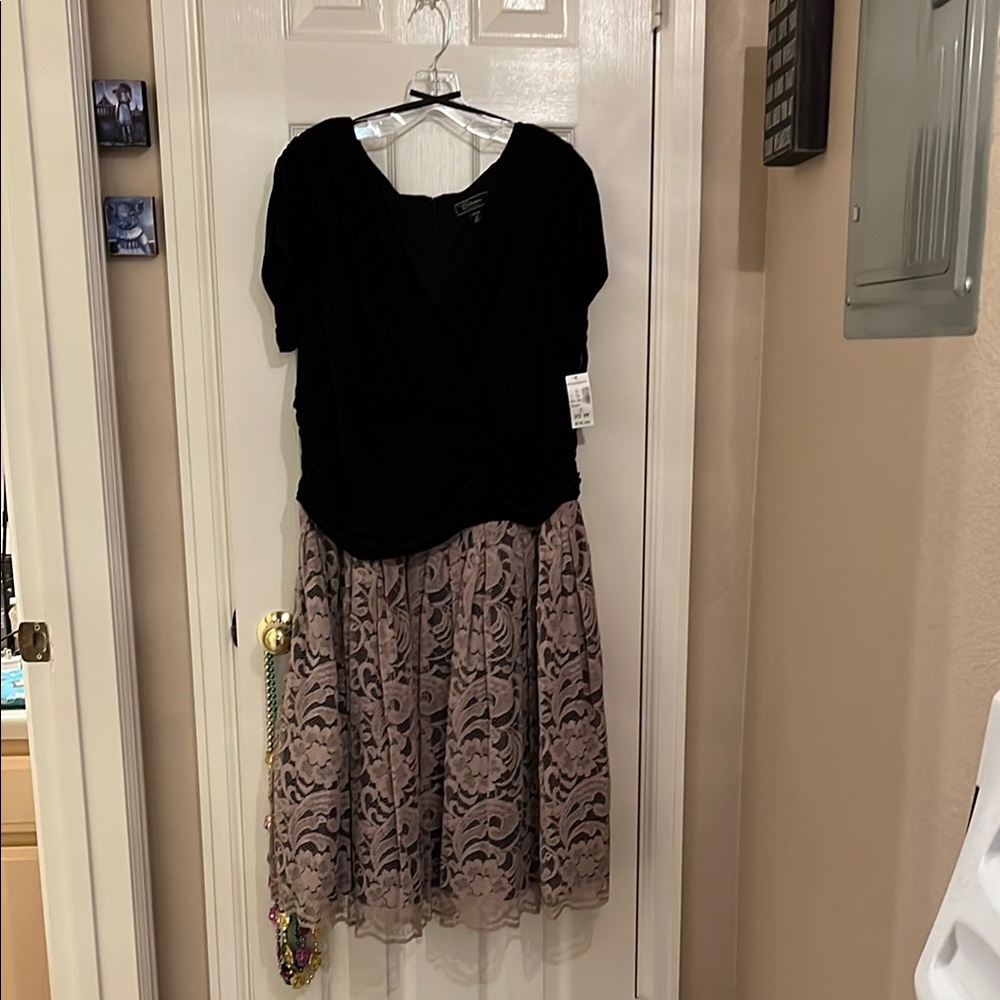 Charming Charlie Black and Beige Lace Dress